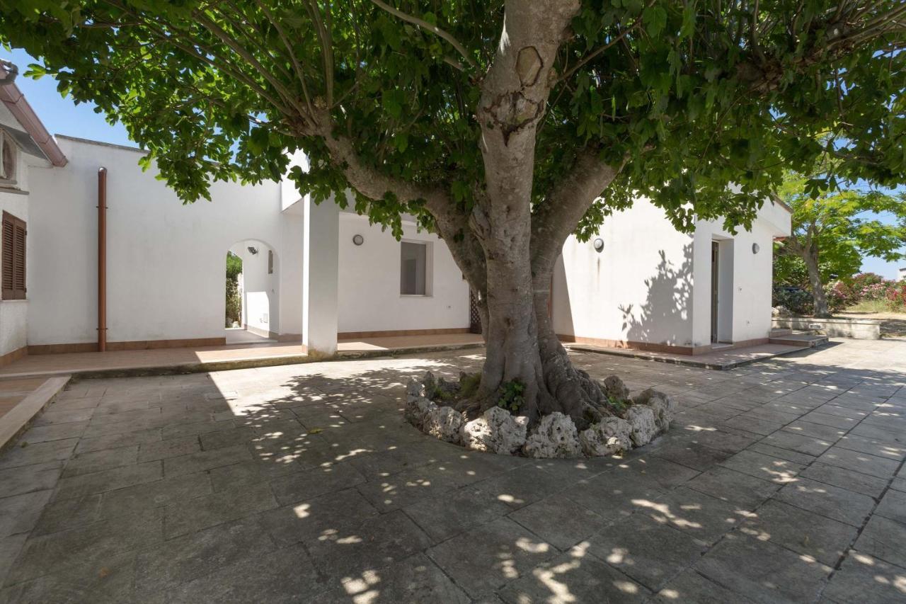 Soledelsud By Barbarhouse Leilighet Otranto Eksteriør bilde